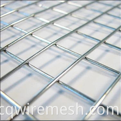 China Factory Best Price Electric Galvanized Welded Wire Mesh1